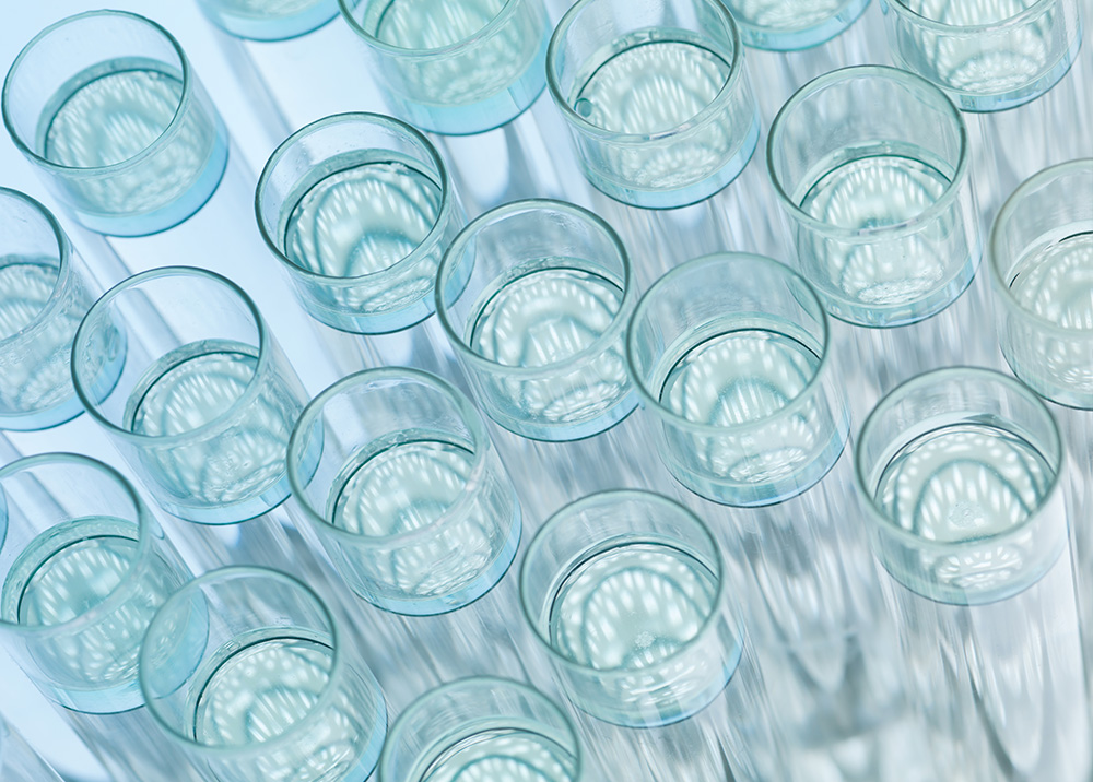 Genetica del cannabis